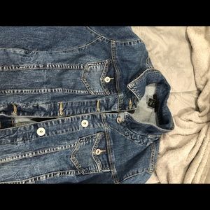 Lane Bryant Jean Jacket
